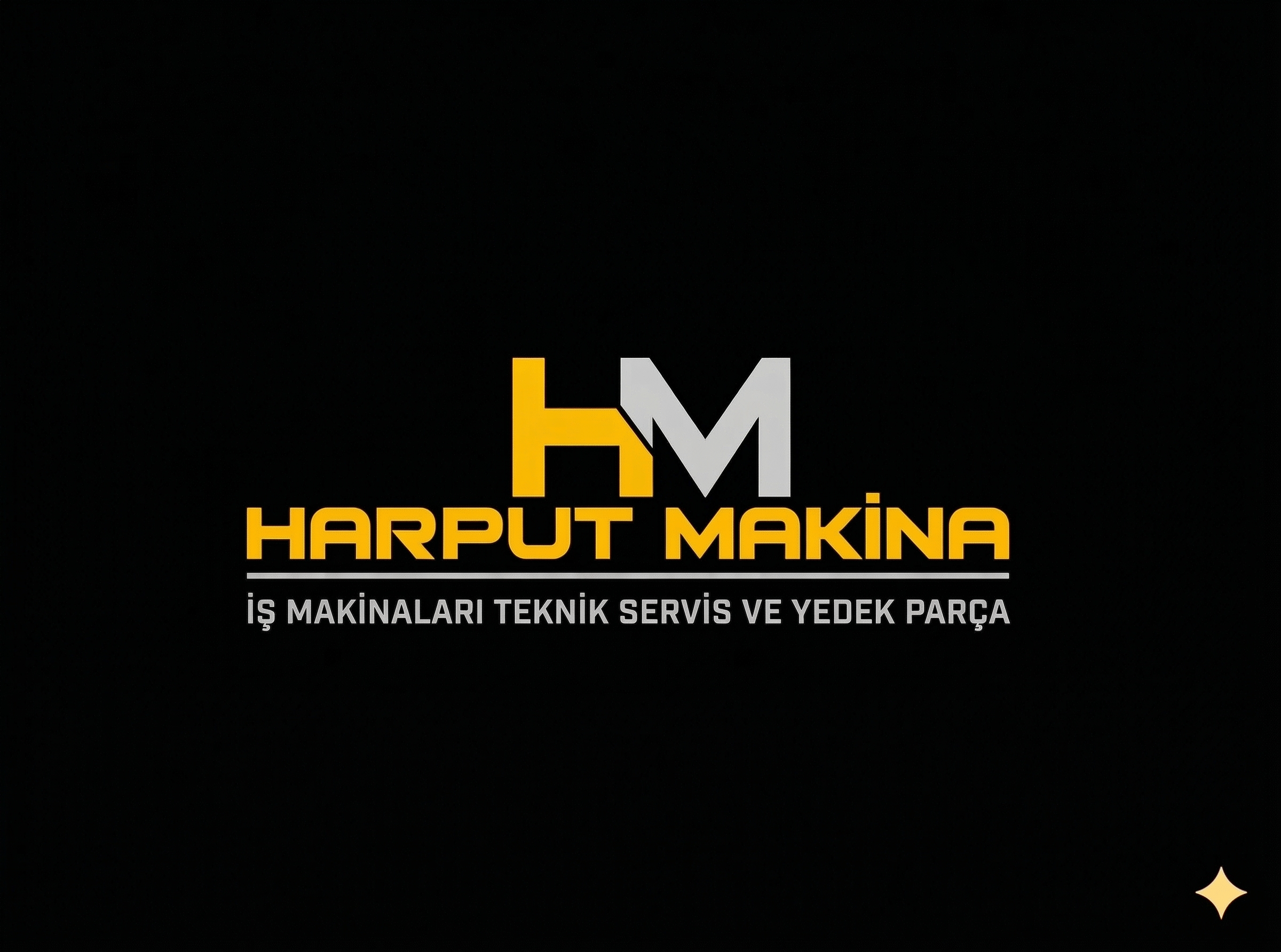Düz Renkli Logo